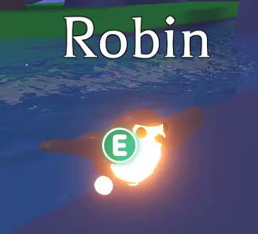 Adopt Me On Twitter Neon Birb Who Made A Neon Robin Https T Co 2bxyg9kcfn Twitter