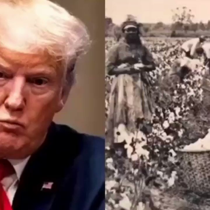 Donald Trump says African American’s built this country but wasn’t given the proper credit.