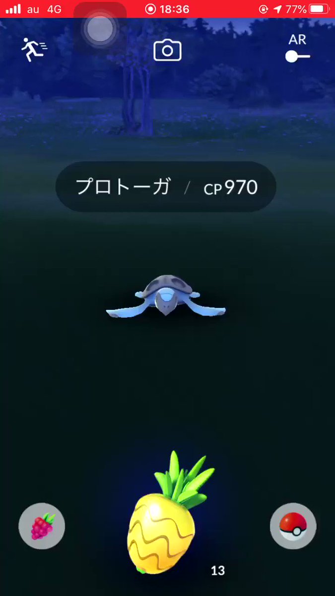 プロトーガ 第5世代レア枠 もうゲットした 10kmタマゴ みんなのポケgo みんポケ