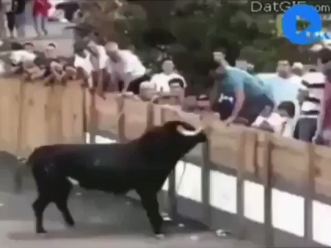 Ojalá a más abusadores de animales les pasara esto.