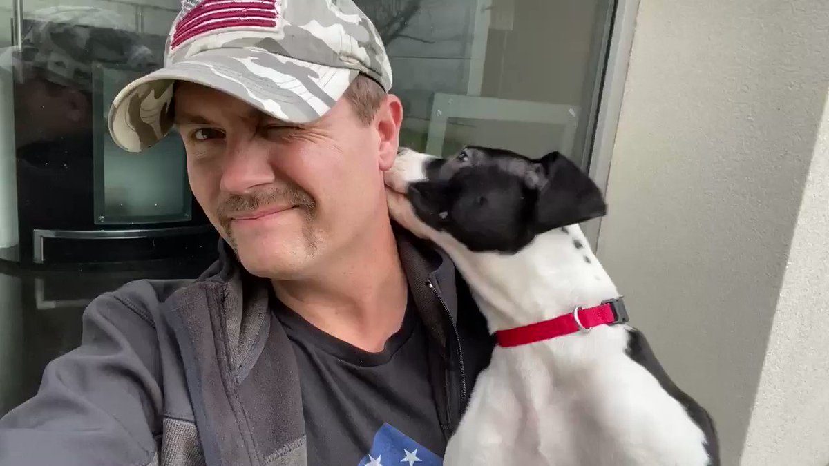 John Rich (@johnrich) on Twitter photo 15/01/2020 22:07:09 Say hello to Dolly!! Might make her the new official mascot for @RedneckRiviera yeah! #HelloDolly #ImADogPerson Say hello to Dolly!! Might make her the new official mascot for @RedneckRiviera yeah! #HelloDolly #ImADogPerson