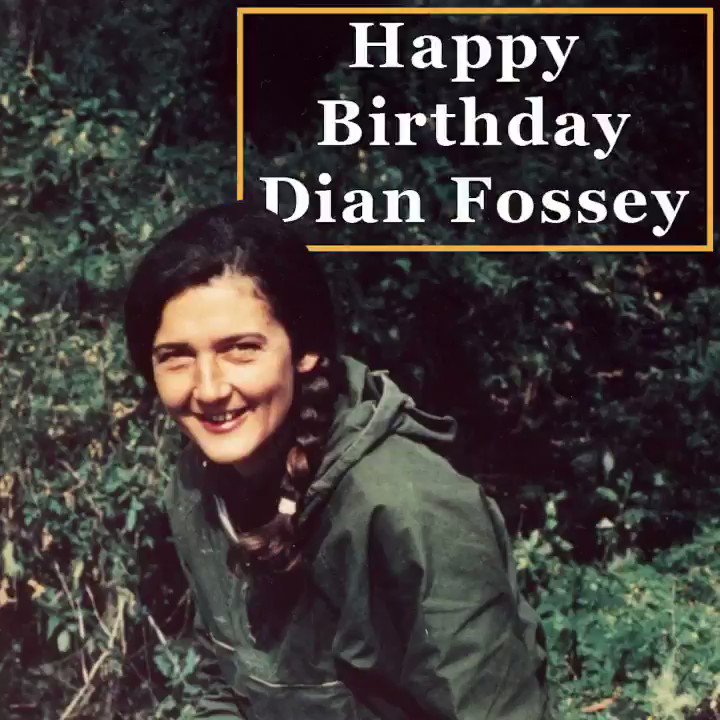 Happy Birthday, Dian Fossey. Your legacy lives on! 
