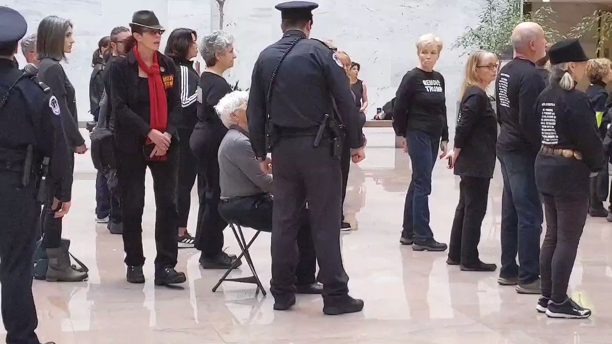 Barbara is 85 years old and she was protesting today in the Hart Senate building for the Remove Trump campaign. She uses a device to sit because she can barely stand, Capitol Police singled her out and threatened her arrest. Let’s make this viral.
