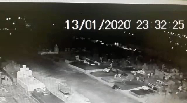 Embedded video