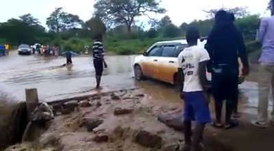 Untold damage caused by floods in Congo basin, Tree plantations destroyed 🌿🌳😭😭Dear @GretaThunberg help us to disseminate it to the media because the Congolese activists are not listened 🚨🚨🌲🌱#SaveCongoForest_Flora_Fauna @Friday4Future @BBCWorld @GreenpeaceBR @Remy_Zahiga