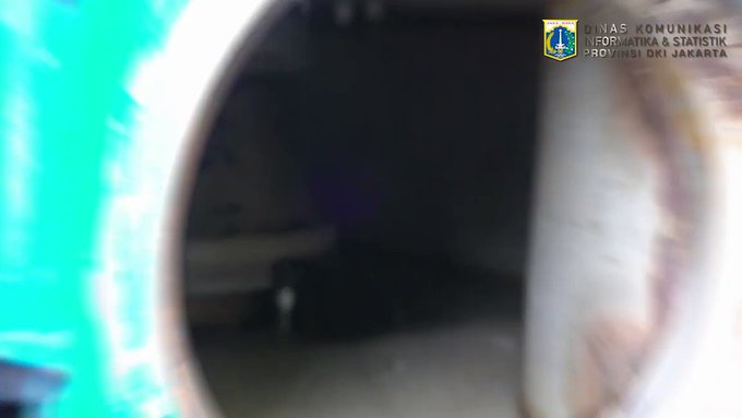 Embedded video