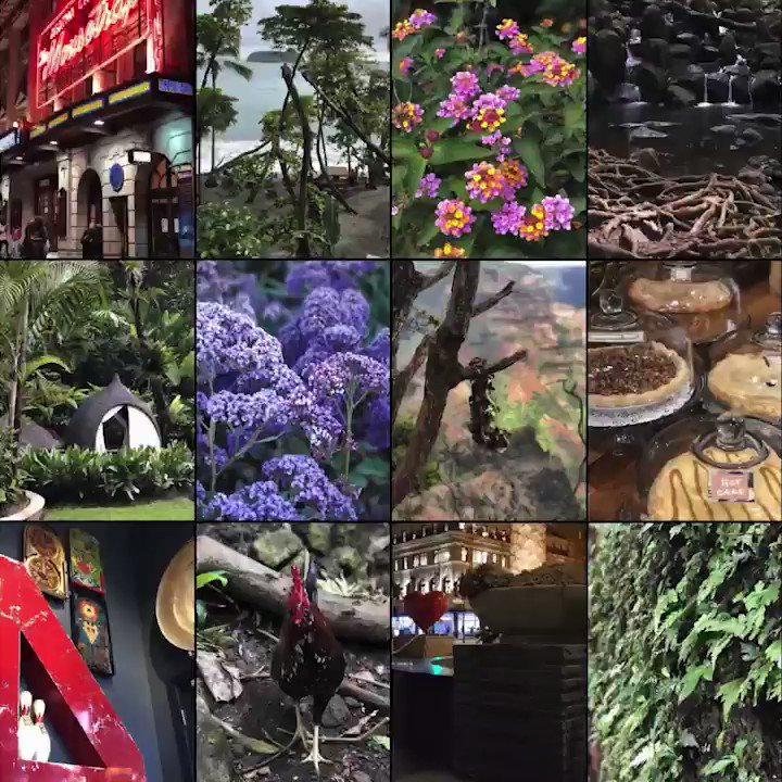 How to create 3D photos that pop with a dual-camera smartphone and the @facebookapp: https://fb.me/fb3dphotos