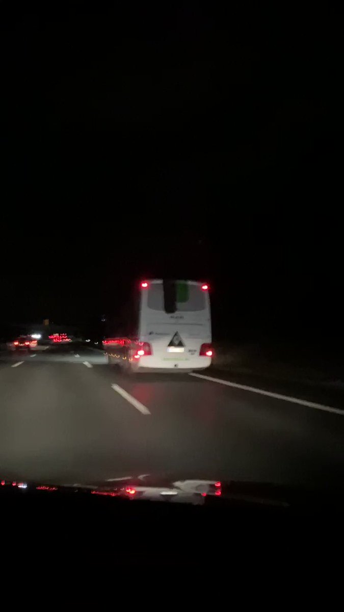 Fohlen-Hautnah.de @fohlenhautnahde