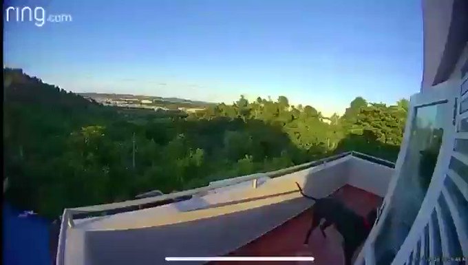 Video insertado