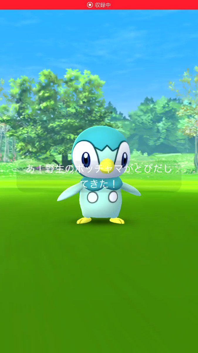 ユニークポケモン ポッチャマ 色 違い ディズニー画像のすべて