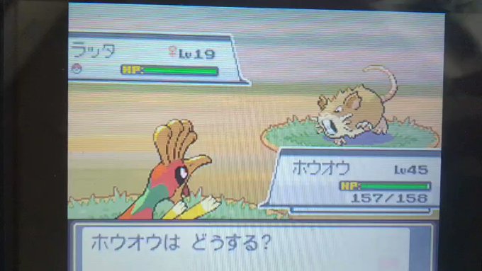 最も共有された ホウオウ ハート ゴールド ポケモンの壁紙