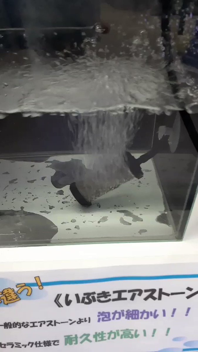 エアストーン Twitter Search Twitter