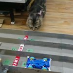 ピノキオが 私の鼻は伸びている状態である と宣言した場合 鼻はどうなるのか 永久機関として利用しようとする悪の組織から守らなきゃ Togetter
