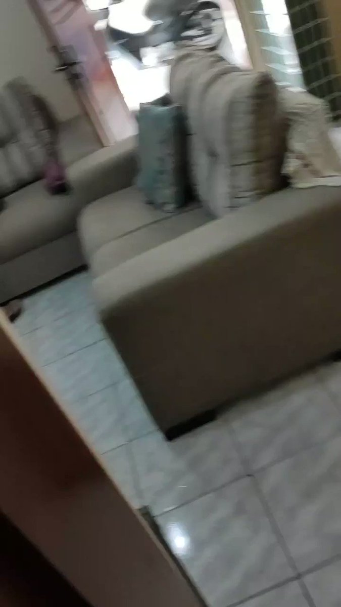 e mainha q não bastou fazer uma camisa pro gato ela fez uma CAMISA DE BOTÃO