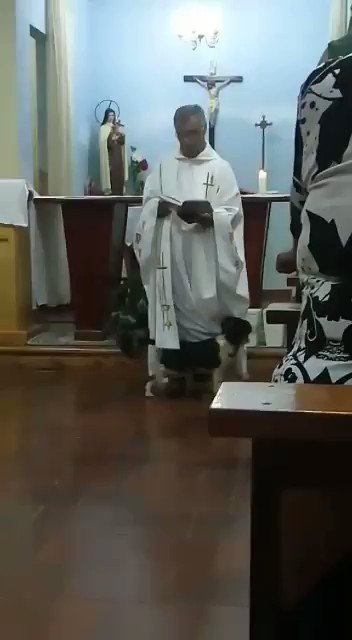 Vídeo