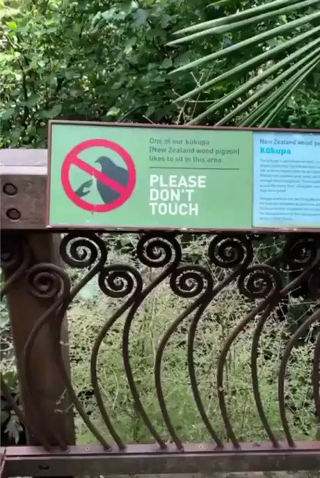 Please don’t touch 😅