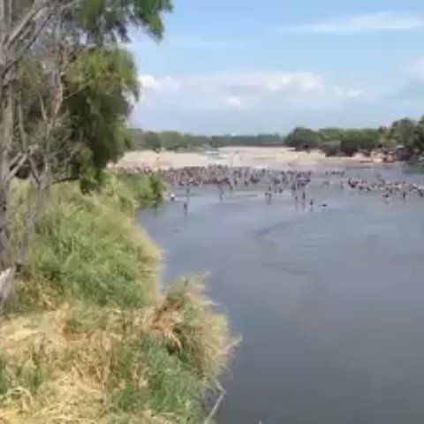 Video insertado