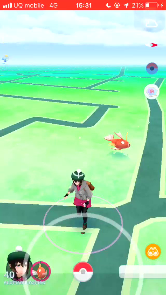 えだまめ Auf Twitter 時速285キロで相棒を連れ回してみた コイキング編 ポケモンgo Pokemongo