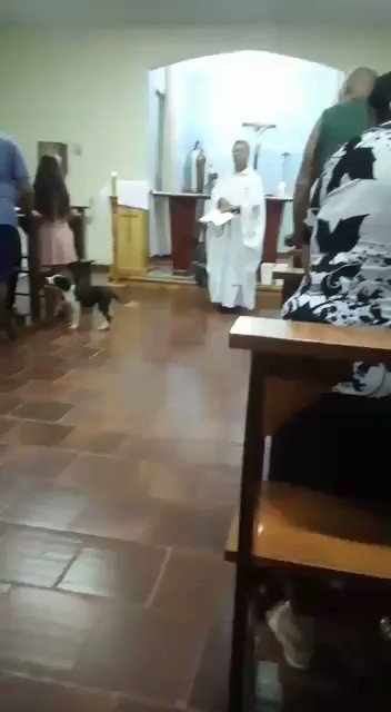 Vídeo