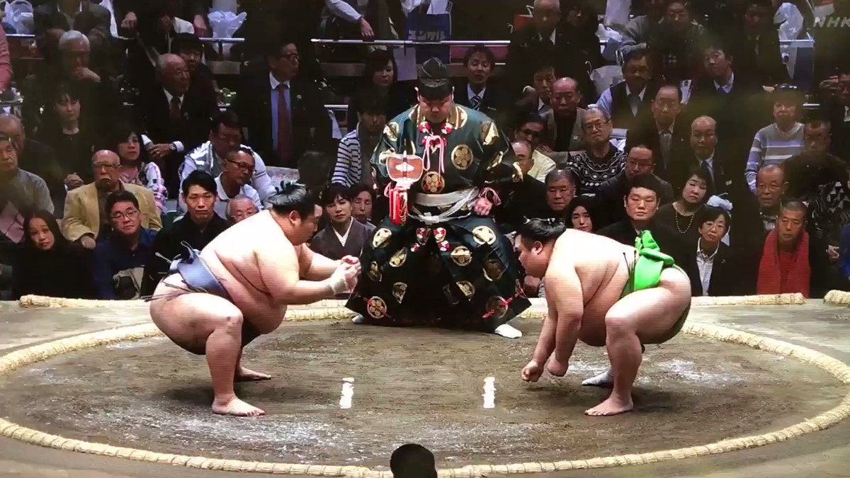 Day10 #TokuShoRyu is ALSO 9-1 so better start showing his bouts (he’s just never been a rikishi who floats my boat, so don’t post his bouts much). He’s been largely a juryo denizen for some time. Here he is vs #HisRoundness #ChiyoMaru which is always another reason to post. :)