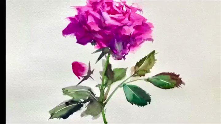 Watercolor by Shibasaki🎨柴崎春通 on X: 