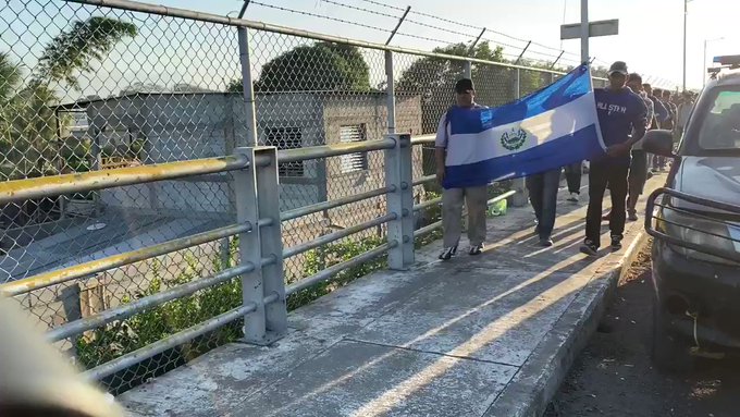 Video insertado
