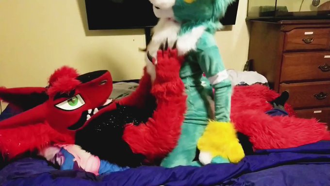 Part 2 @piperthebun #murrsuit #furry #yiff #mursuit #fursuit #bunny #sergal https://t.co/6oMBryw5Lh