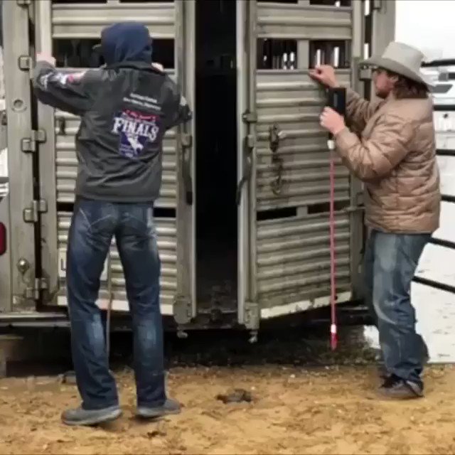 Showdown !.📽 @anchorawaymedia #bullfighting #rodeo #LF #cowboy #rain #lanefrostbrand
