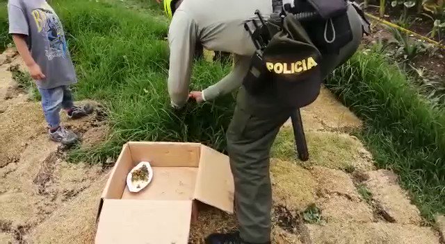 #Noticia en el tramo de la cicloruta canal del Río Arzobispo en #Engativa, los policías logran rescatar una tingua azul (Porphyrio martinica) quien presenta lesiones en sus patas.Esta ave fue dejada a disposición de @Ambientebogota #YoProtejoLosAnimales