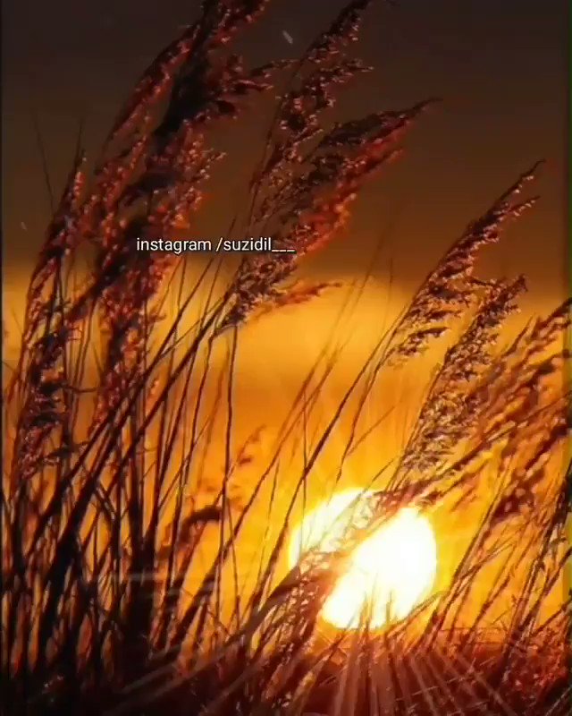 Birazcık tuz etsikibırakmalı insan.Birinin hayatında.Hani yaraya basıp,Acı vereninden değil de.Yemeğe katılıpTat vereninden...!! Olmalı Aşk Ola 🌹🌹🌹