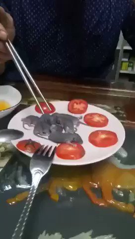 Pero como no van a tener coronavirus?? Lo raro es que no tengan la rabia