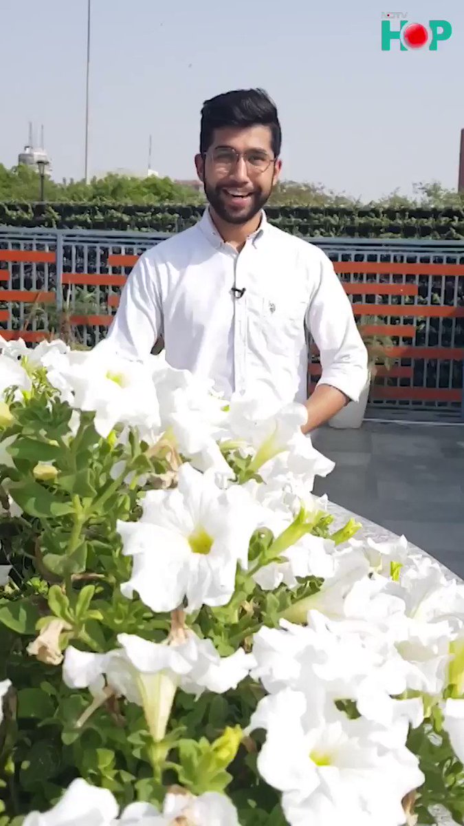 Why do Indian politicians wear white? Find out only on #AskMeWhy!@TJhumroo #Throwback #ThrowbackThursday #thursdaymorning #ThursdayThoughts #thursdayvibes #politicians #white #clothes #questions #answers #NDTVHOPLive