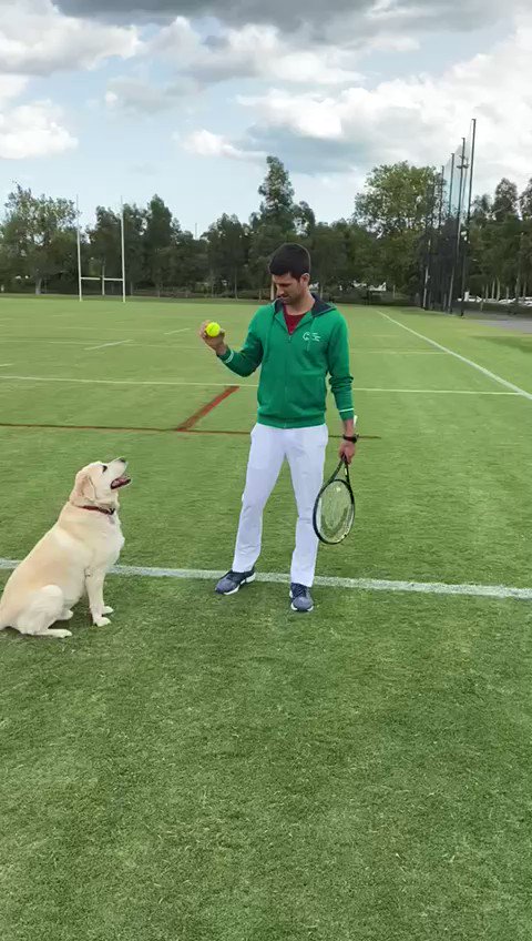 Novak Djokovic @DjokerNole