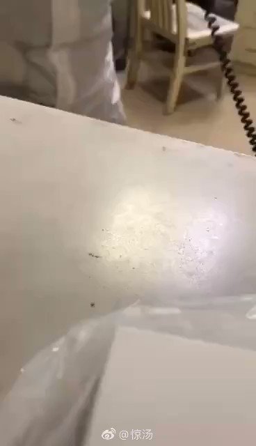 Embedded video