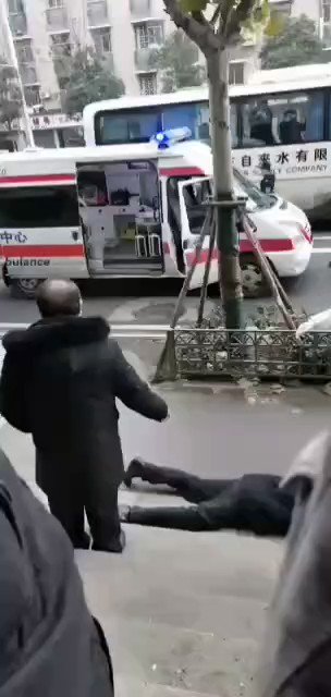 Уграђени видео