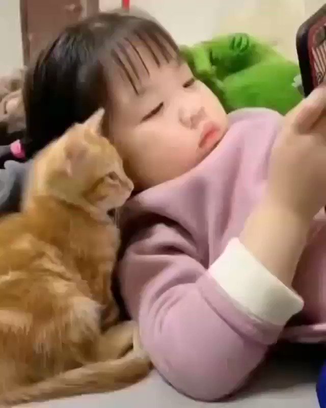 Snishaa (@Snishaa2) on Twitter photo 2020-01-24 08:21:50 Goodnight All My Lovely Friends☄ Think of Good Moments of This Day & Keep a Smile for Tomorrow! Good Night!🌹 Sweet Dreams..☄💫 #goodnight #ThursdayThoughts #cutebaby #baby #CatsOfTwitter #Cat #Caturday #SweetDreams #Kids SO CUTE AND ADORABLE!!👧🐱💕💫🤗 Goodnight All My Lovely Friends☄ Think of Good Moments of This Day & Keep a Smile for Tomorrow! Good Night!🌹 Sweet Dreams..☄💫 #goodnight #ThursdayThoughts #cutebaby #baby #CatsOfTwitter #Cat #Caturday #SweetDreams #Kids SO CUTE AND ADORABLE!!👧🐱💕💫🤗