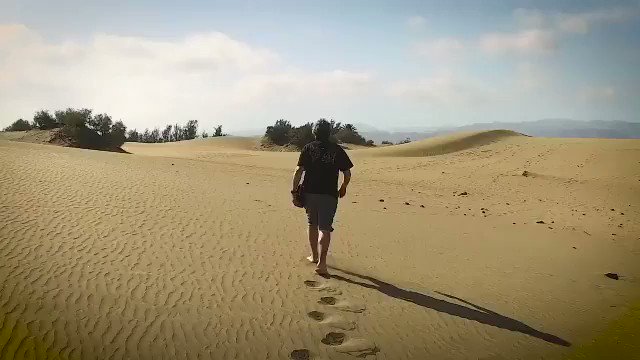 #Maspalomas Dunes: the sandiest of beaches!The perfect walk at the Canary Islands! 📹 via @Spain#GranCanaria #CanaryIslands #beach #Spain #holidays #vacation #adventure #travel #trip #wanderlust #beachvacation #summer #swimming