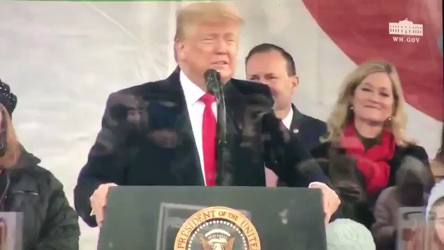 President Trump at #MarchForLife “All of us here today understand an eternal truth, every child is a precious and sacred gift from God!”“When we see an image of a baby in the womb we glimpse the majesty of God’s creation.”https://www.lifenews.com/2020/01/24/president-trump-tells-march-for-life-every-child-born-and-unborn-is-a-sacred-gift-from-god/ …