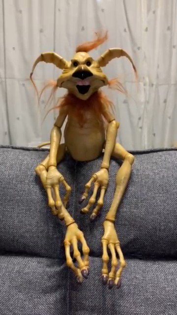 家族が増えました。 #STARWARS #スターウォーズ #コワキアンモンキー