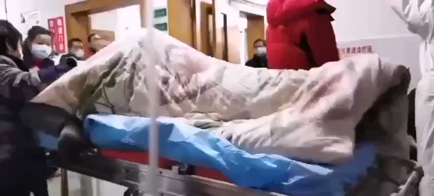 埋め込み動画
