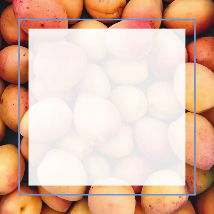 Women's Health Advantage (AdvantageWomen) / Twitter