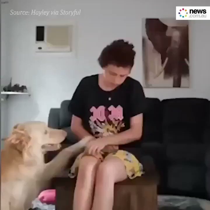 Whoa Interesting (@WhoaInteresting) on Twitter photo 31/01/2020 10:35:43 Amazing dog Amazing dog