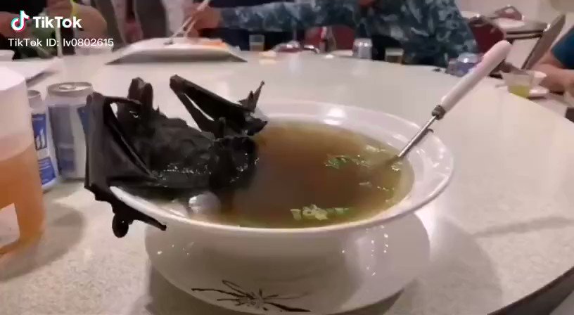 中国 コウモリ 食べる