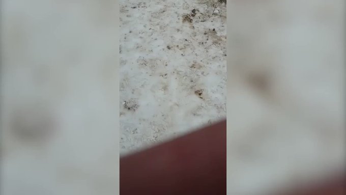 Vídeo incorporado