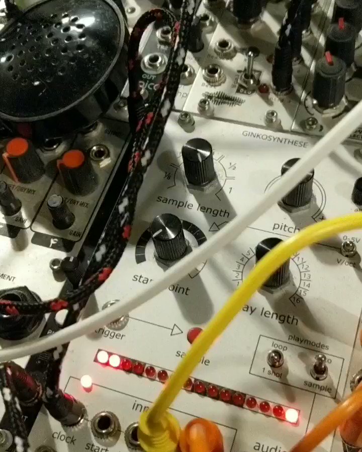 .Laying down vocals12 bit voice oscillator5 steps repeating.#ginkosynthese #sampling #sequencing #studioprocess #paulbirken #tonewrecker #possibilities #create #explore #modularsynth #learningbydoing #snazzyfx #noiseengineering #qubitelectronix #lowgainelectronics