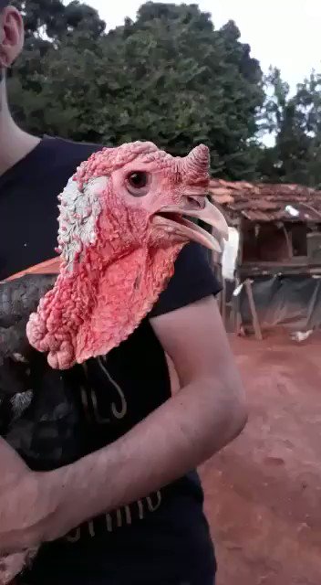 Videozinho segurando meu peru. https://t.co/9EwN5EMX6g<a href="/tag/overwatch"class="tags"><span>#overwatch</span></a>