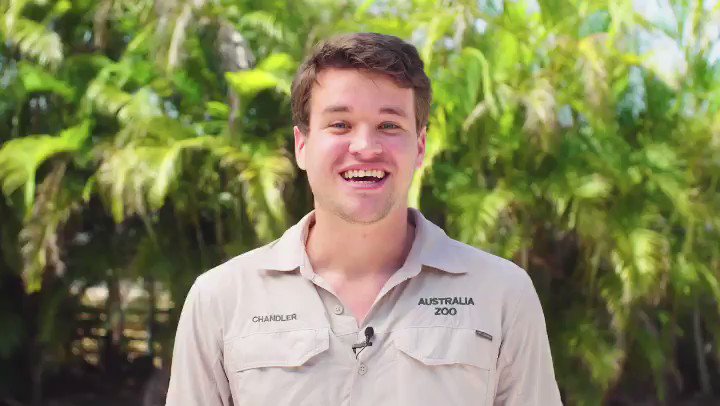 Need a conservation pick-me-up?💛 Crikey Club is incredibly special. Join us on our family adventures and catch up on all the Australia Zoo news.Visit http://www.crikeyclub.com.au for the details.See you there! xx