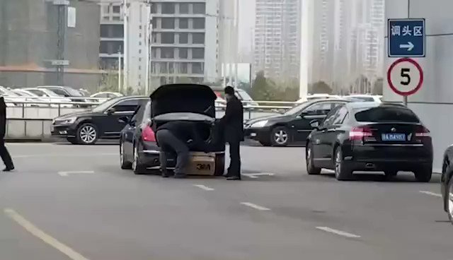 Embedded video
