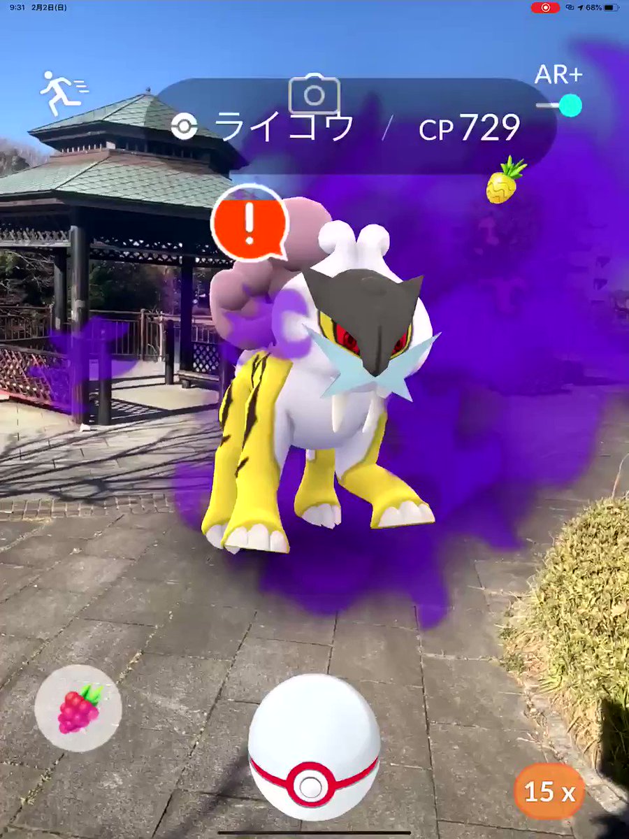Onepoke Sur Twitter シャドウライコウ ポケモンgo シャドウライコウ Arプラス道中記 Pokemongoarplus T Co B43wdysuvr Twitter