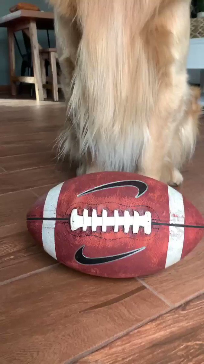 의 미디어: WHO’S GONNA WIN? 🏈🏆 #SuperBowlLIV #SuperBowl #Chiefs #49ers https://t.co/y3439ouhk0 의 미디어: WHO’S GONNA WIN? 🏈🏆 #SuperBowlLIV #SuperBowl #Chiefs #49ers https://t.co/y3439ouhk0